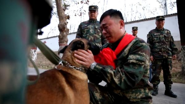 老兵告别十六年训犬生涯军犬追车送别