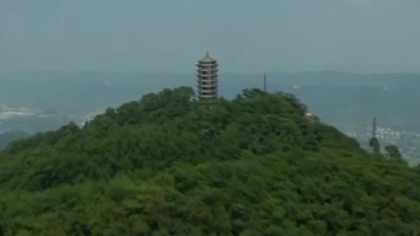 领航新时代丨重庆:沉心谋发展,整装再出发