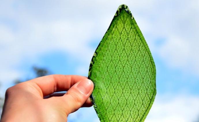 中国科学家用"人工树叶"让二氧化碳变废为宝:零排放