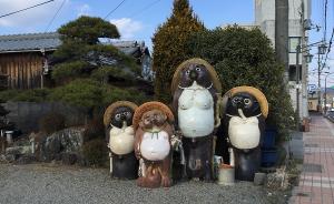 呆萌狸猫一窝在日本千年制陶小镇的街边等你领回家