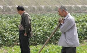 人民日报刊文：村干部，请回村